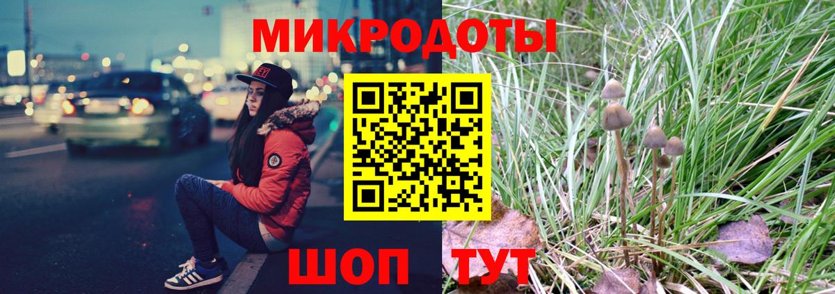 Псилоцибиновые грибы прущие грибы  Вход с VPN  Саратов  где найти   Галлюциногенные грибы мицелий 